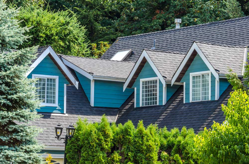 Blue Home Roof Seattle